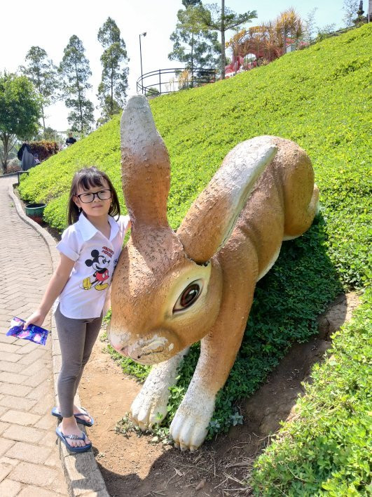 Rabbit Park景点图片