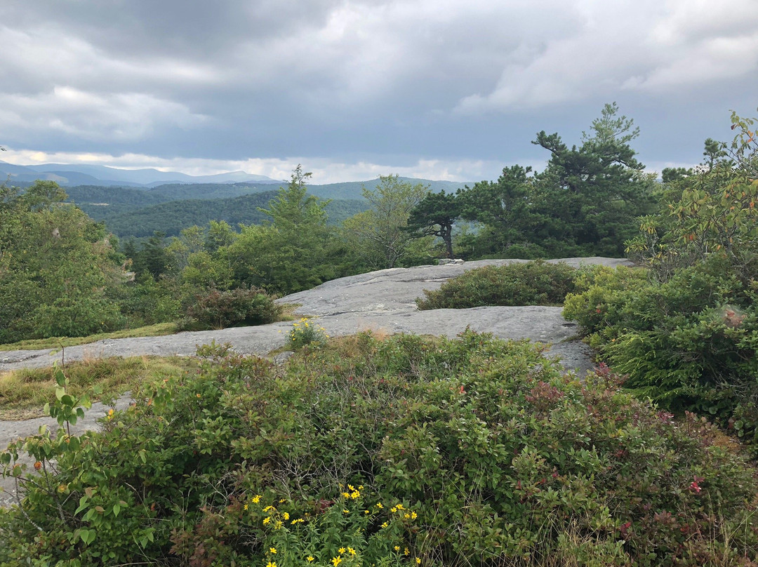 Flat Rock Trail景点图片