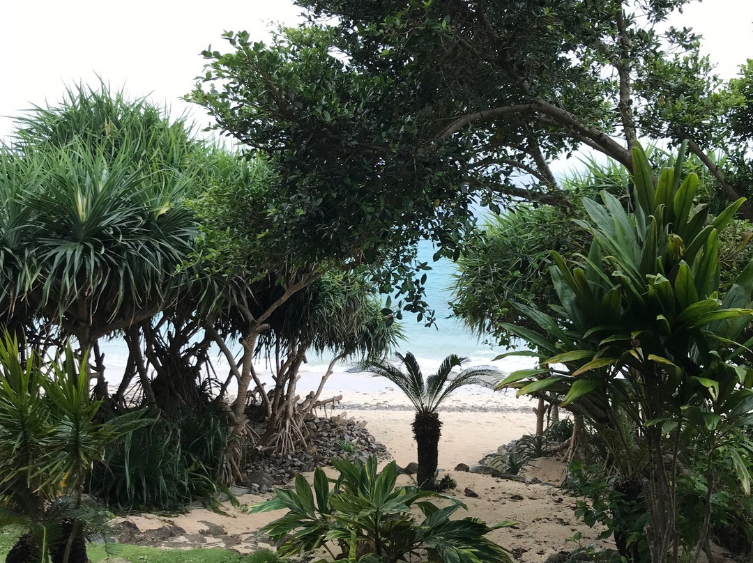 Native Sea Amami Adan On The Beach主图