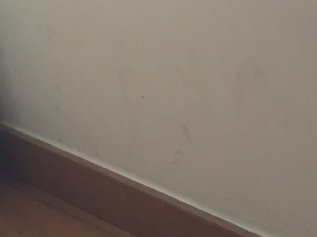 Inatel Caparica主图