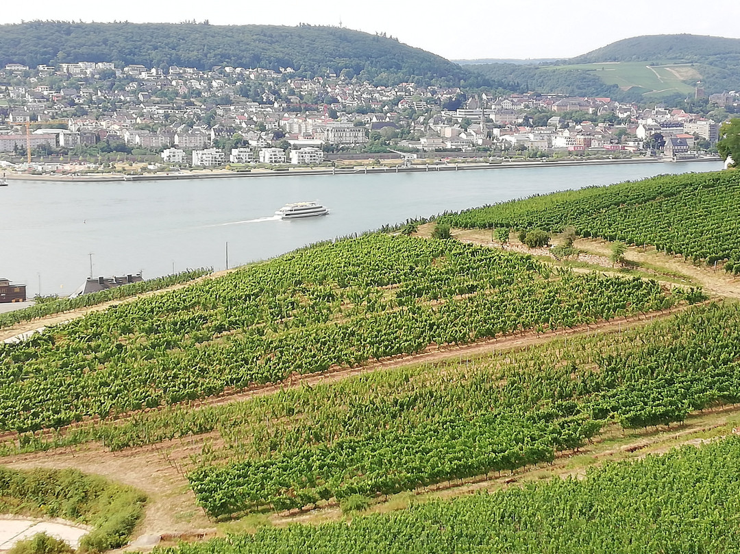 Tourist Information Rudesheim-吕德斯海姆必去景点