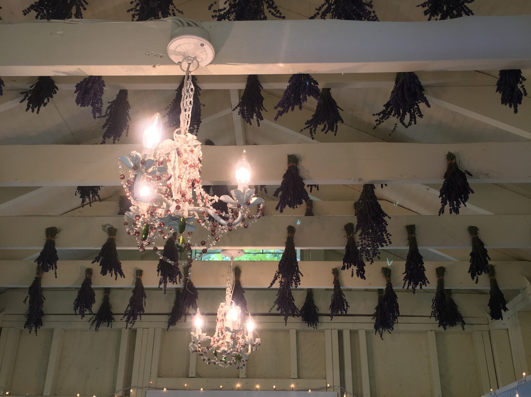 Vashon Island-Vashon必去景点