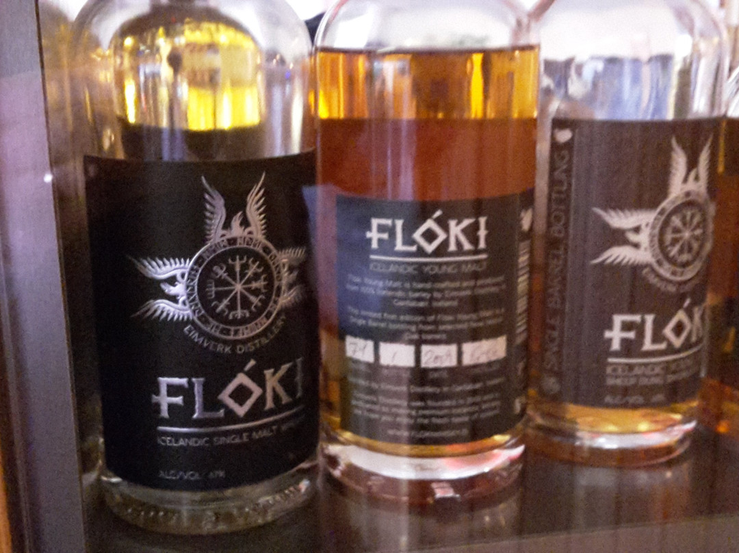 福斯瓦特纳冰原酒店主图