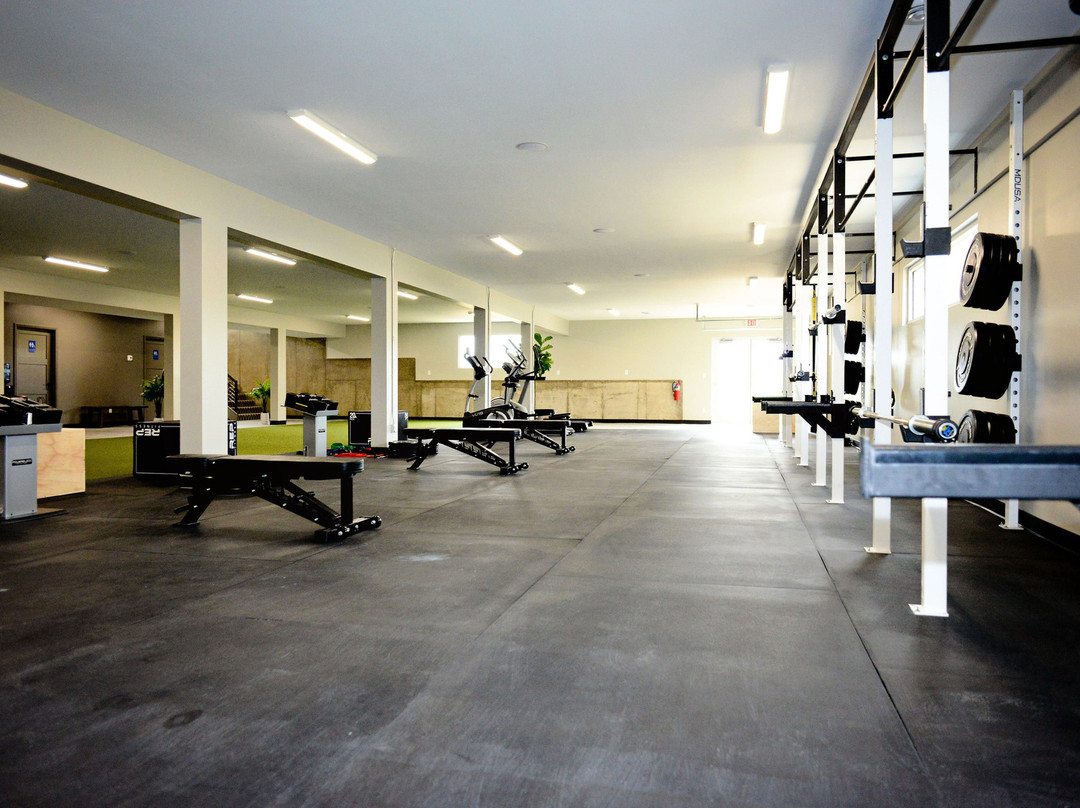 Thriving Thistle Market