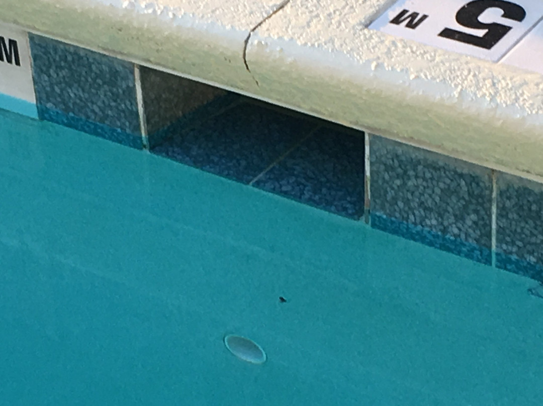 Holiday Inn Express & Suites Bonifay By IHG主图