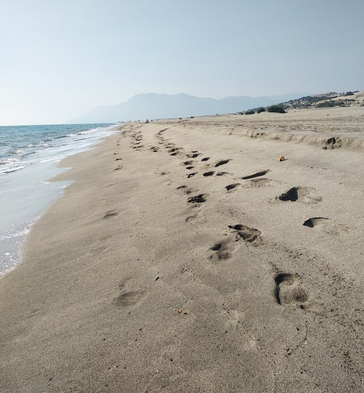 Patara Golden Pension主图