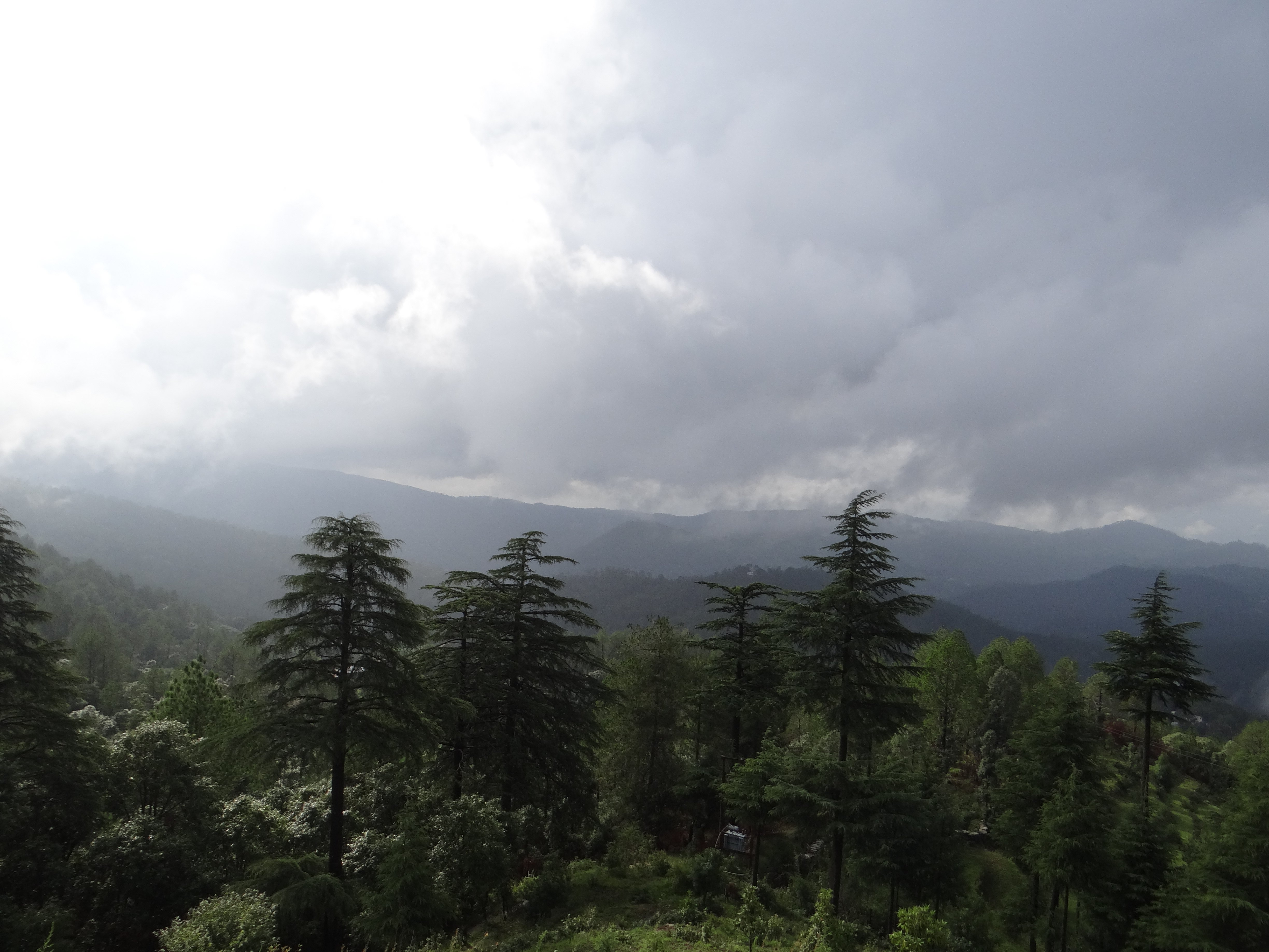 Blusalzz Escapade - Anant Rasa, Shitlakhet - Uttarakhand-浴室