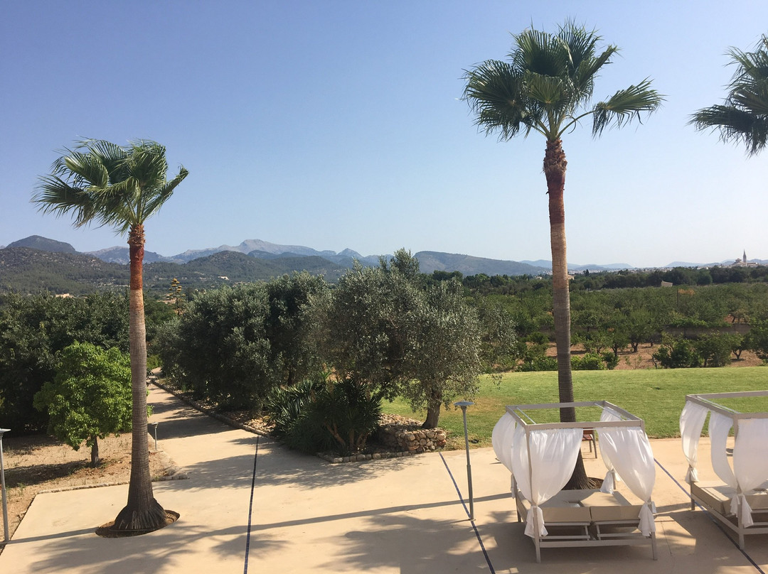 Sa Cabana Hotel Rural & Spa主图