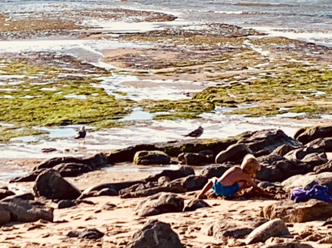 Praia do Matadouro景点图片