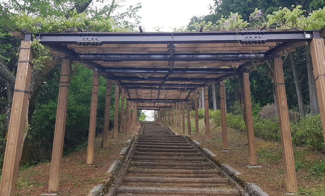 Mt.Tomisu Park-大洲市必去景点