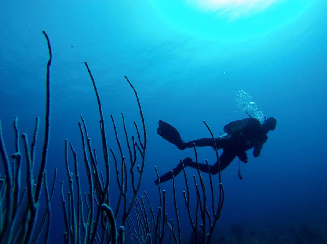 Happy Dive Center-Rio San Juan必去景点