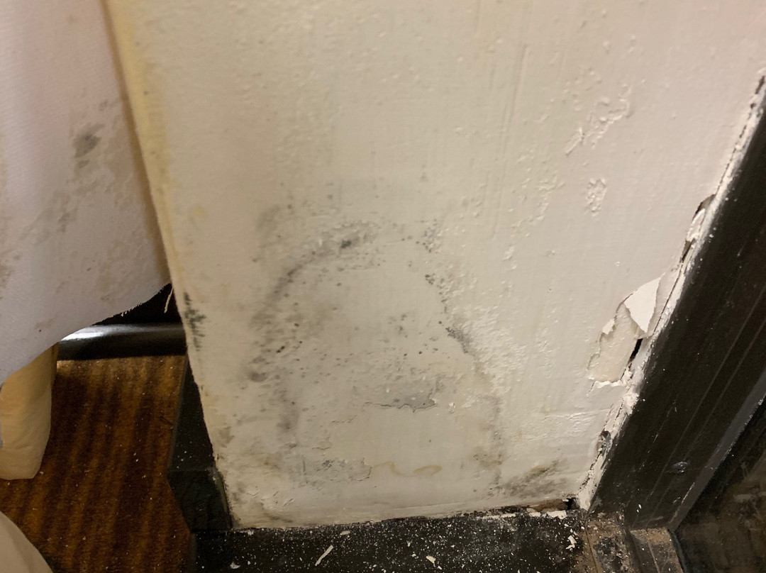 谢尔曼希尔顿恒庭酒店主图