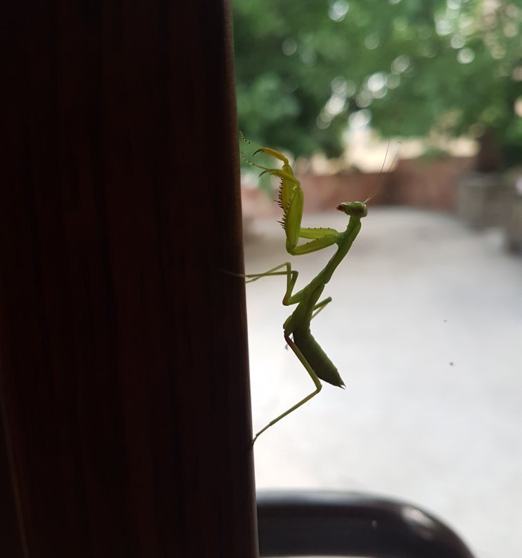 Areni Wine Art主图