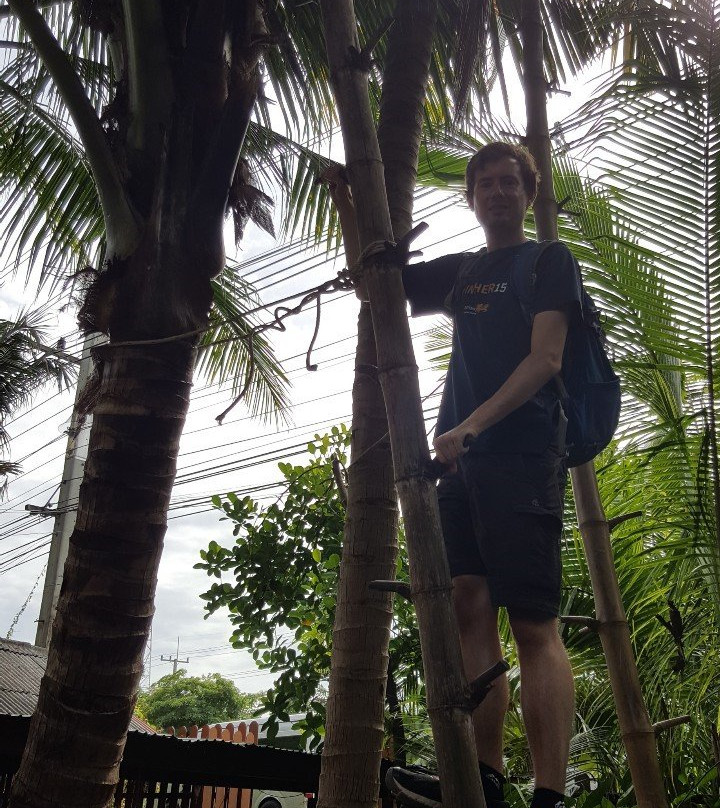 Coconut Sugar Farm景点图片