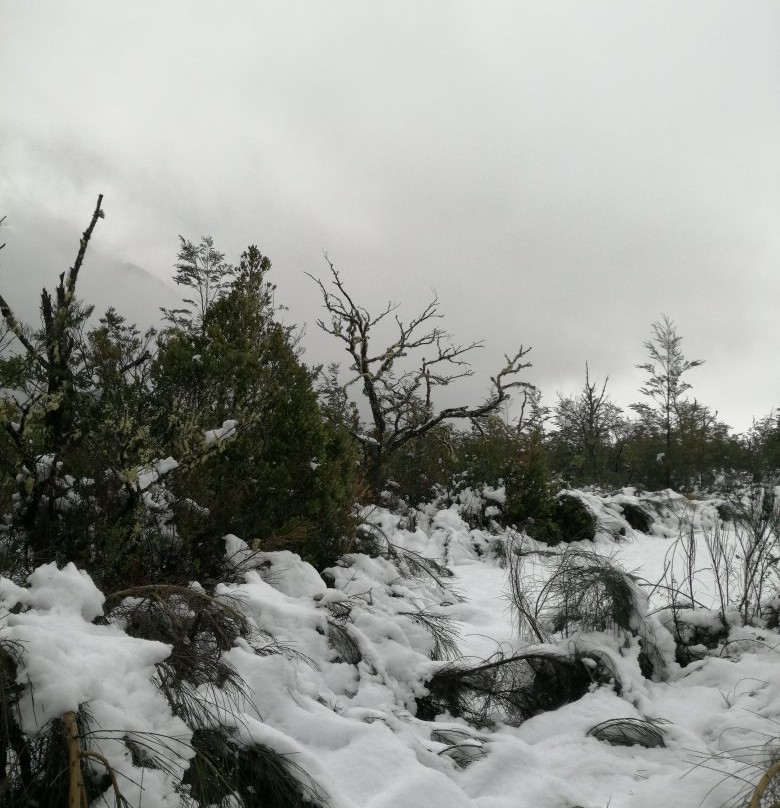 Sendero Paso Desolacion景点图片