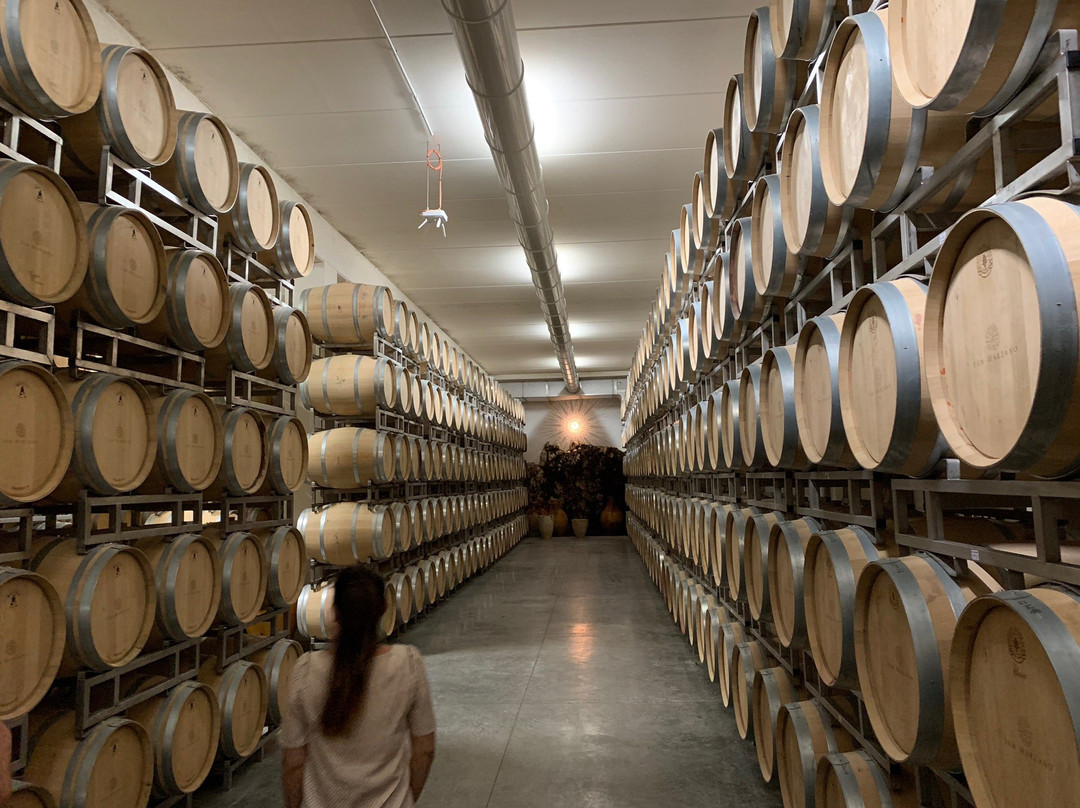 Cantine San Marzano-San Marzano di San Giuseppe必去景点