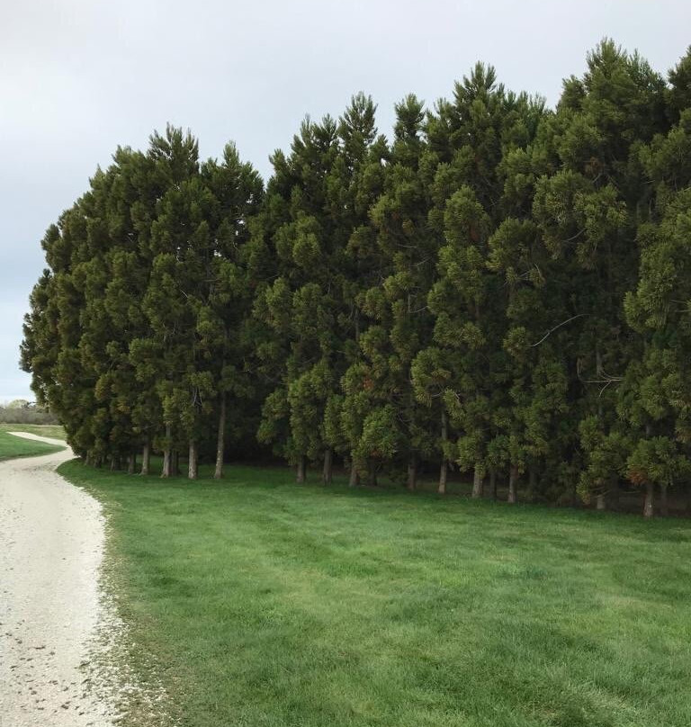 Newport National Golf Club-米德尔敦必去景点