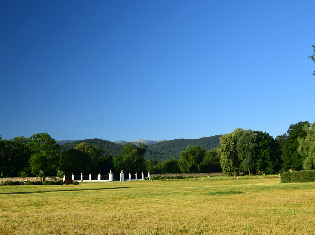 Pałac Pakoszów主图