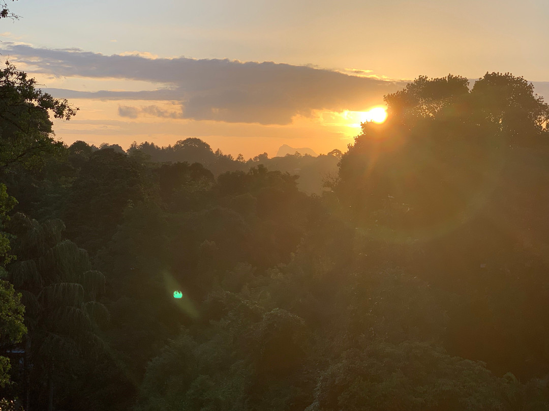 Eagle Regency Hotel主图