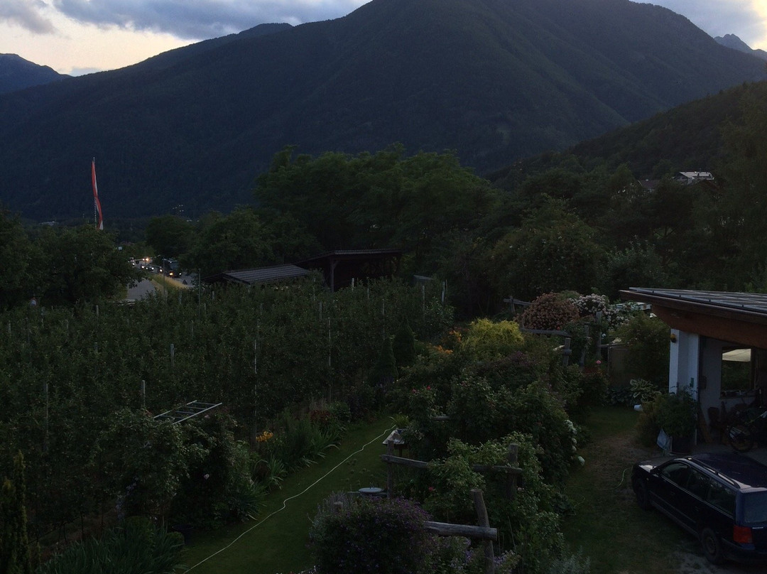 Peintnerhof Appartments & Zimmer主图