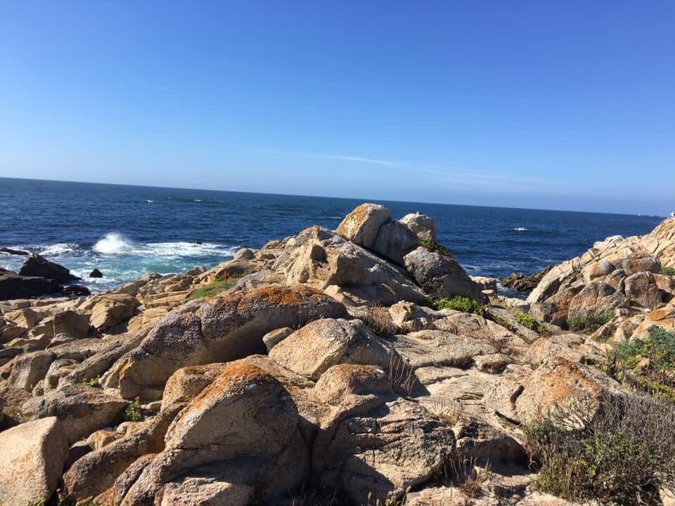Point Joe景点图片
