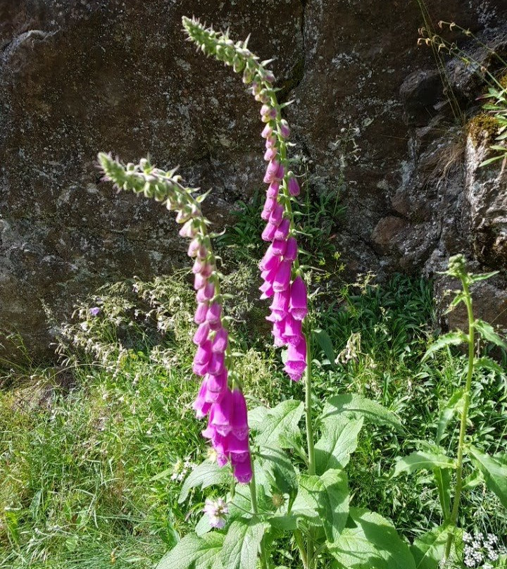 Thermes de Saint-Laurent-Les-Bains-Saint-Laurent-les-Bains必去景点