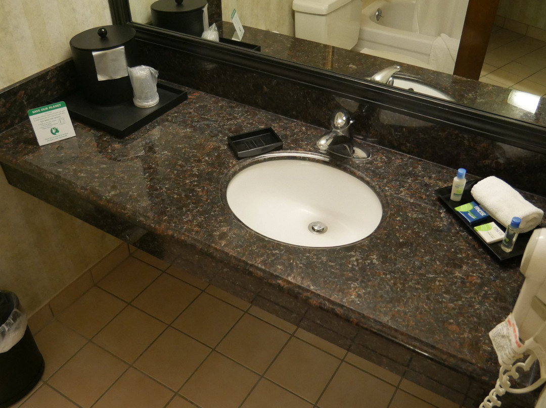 肖皮卡迪利酒店主图