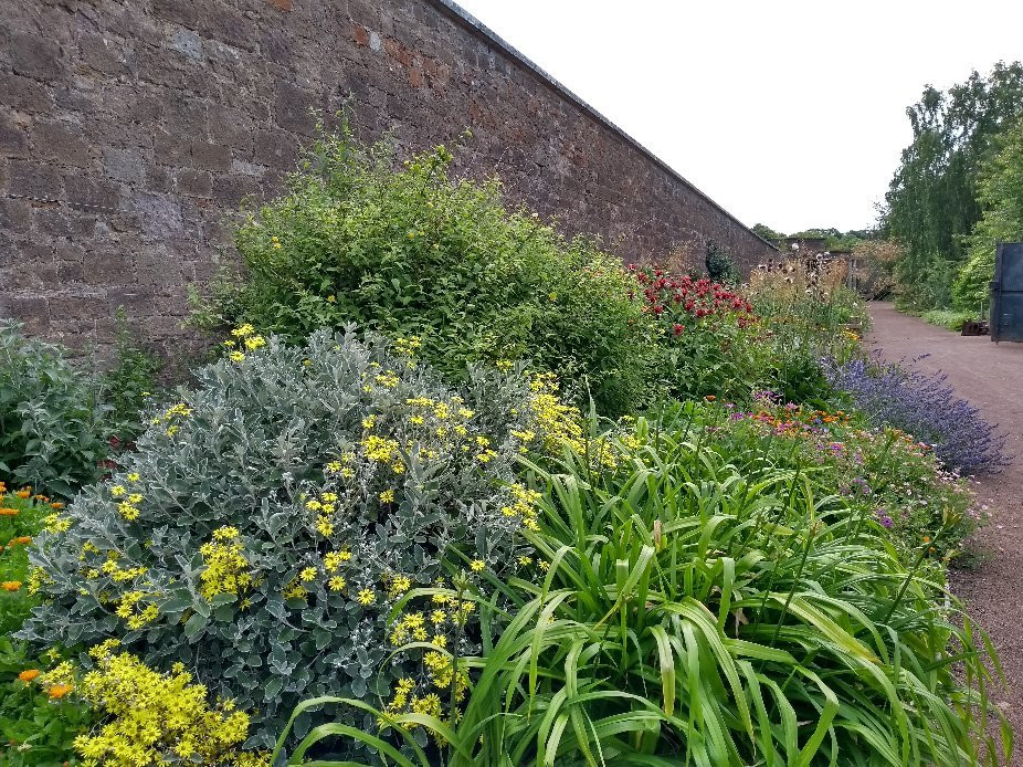 Haddington旅游景点-Amisfield Walled Garden