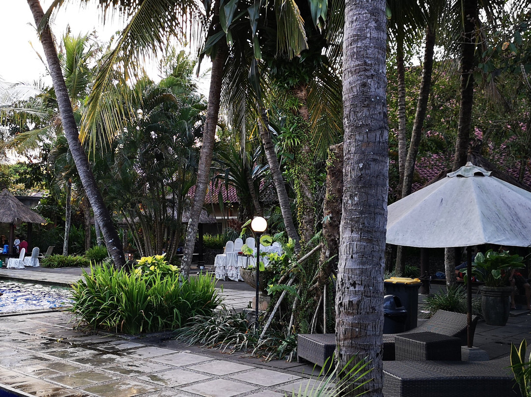 Ijen View Hotel & Resort主图