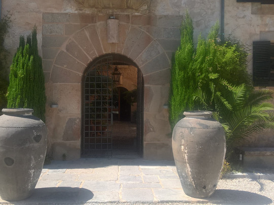 Finca Hotel Son Bleda主图