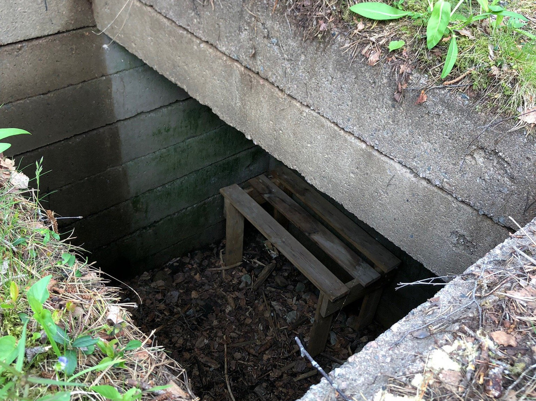 Sjöänd Skans / Fort 118-Arjang必去景点