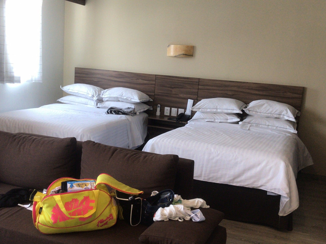 Hotel Occidental主图