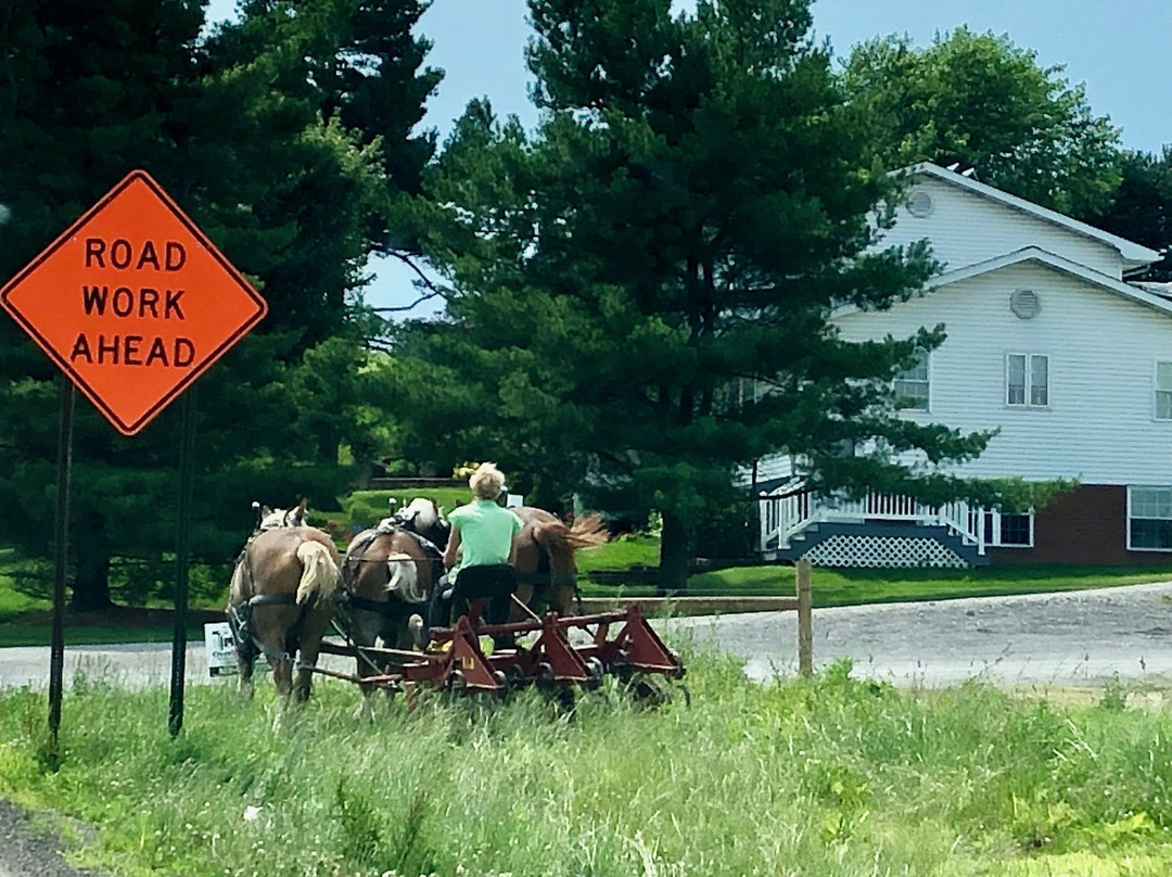 Amish Heartland Tours景点图片