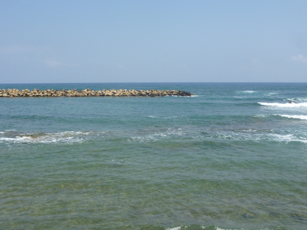 Livadi Beach景点图片