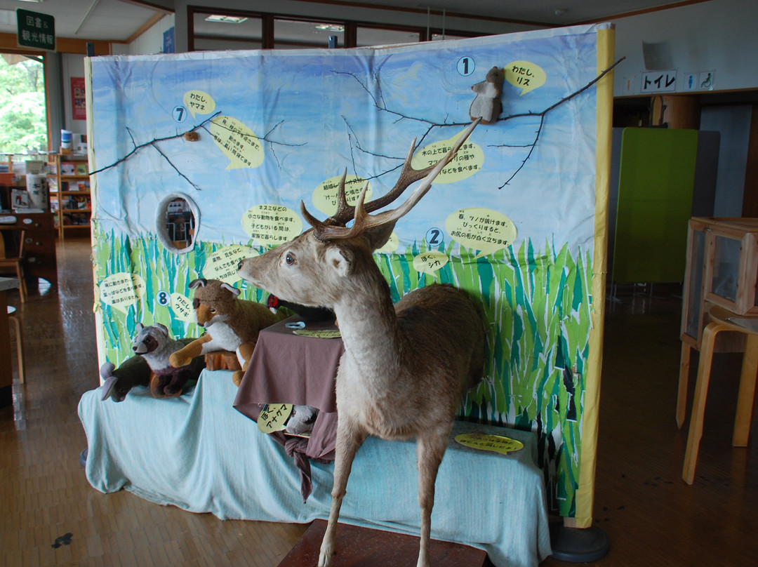 Yamanashi Prefectural Yatsugatake Shizen Fureai Center-北斗市必去景点