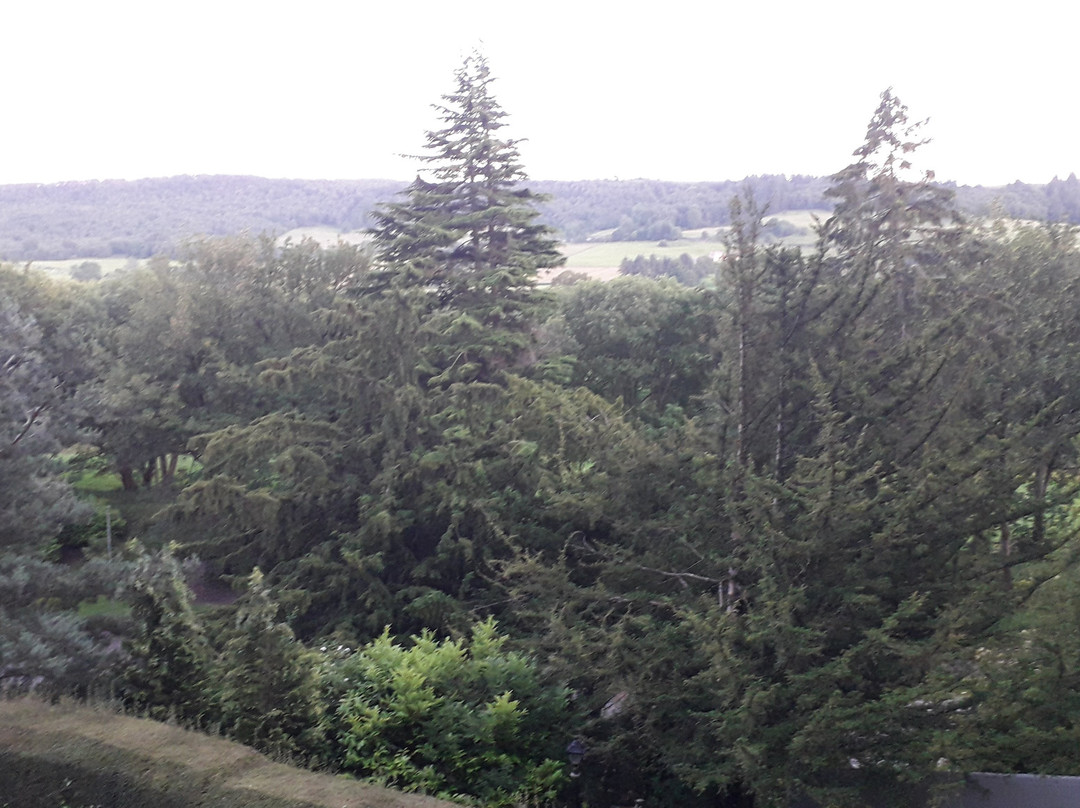 Harefield Hall主图