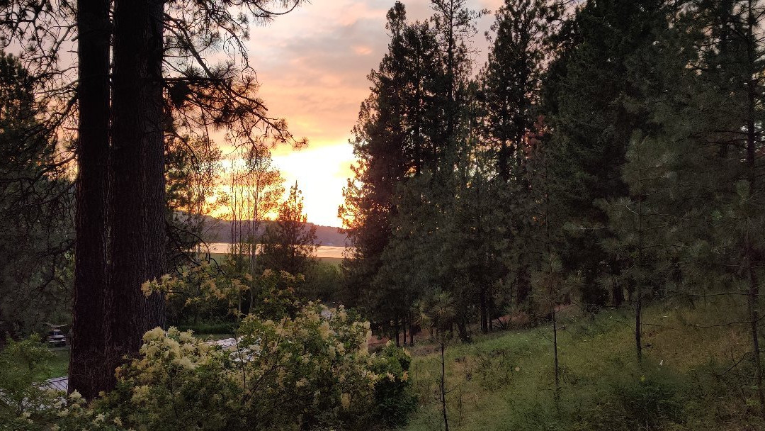 Liberty Lake Regional Park景点图片