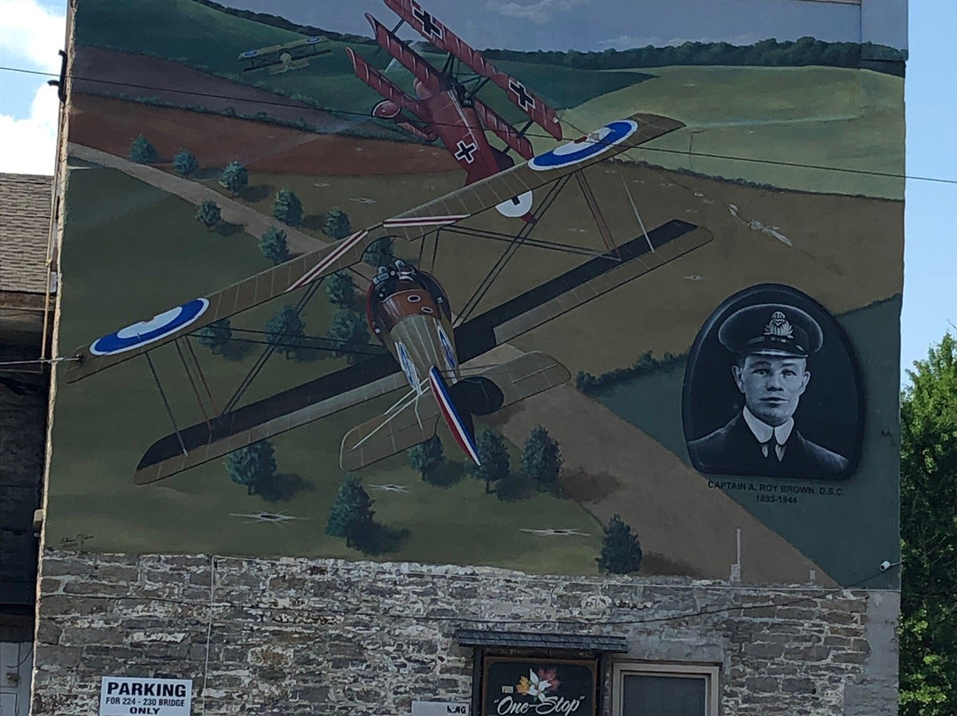Downtown Murals-Carleton Place必去景点