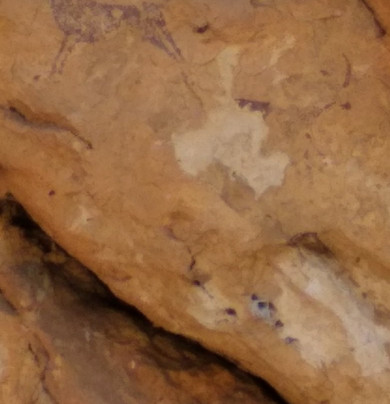 Cueva de la Araña-Bicorp必去景点