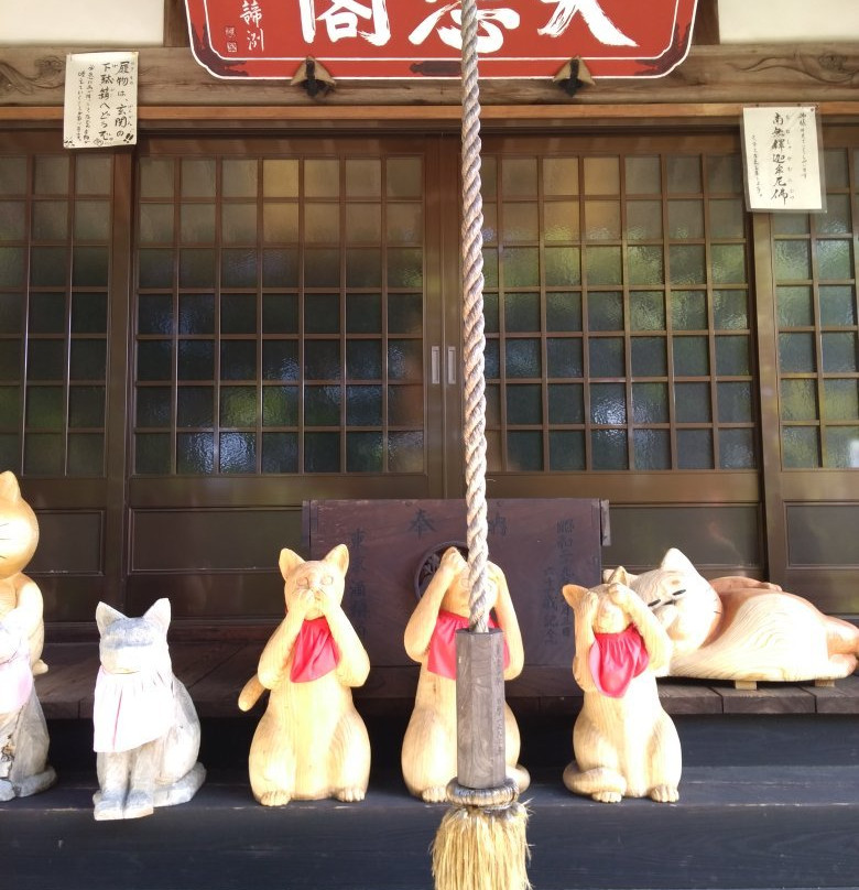 Unrin-ji Cat Temple-萩市必去景点