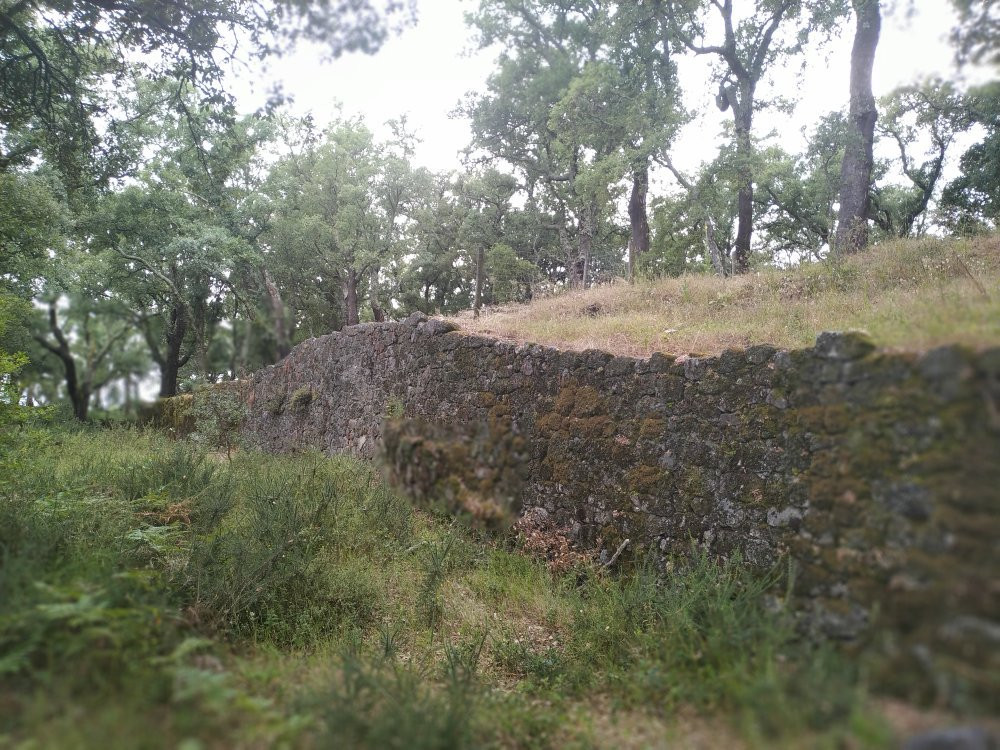 Castro do Monte Padrão景点图片