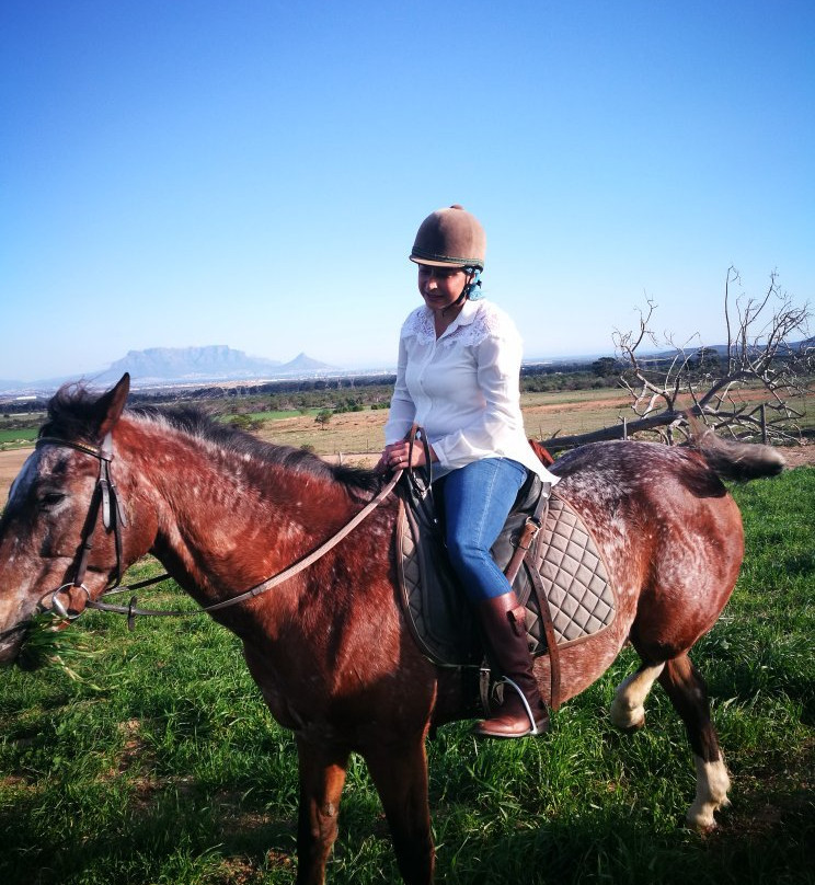 Mountain View Horse Trails-开普敦中心区必去景点