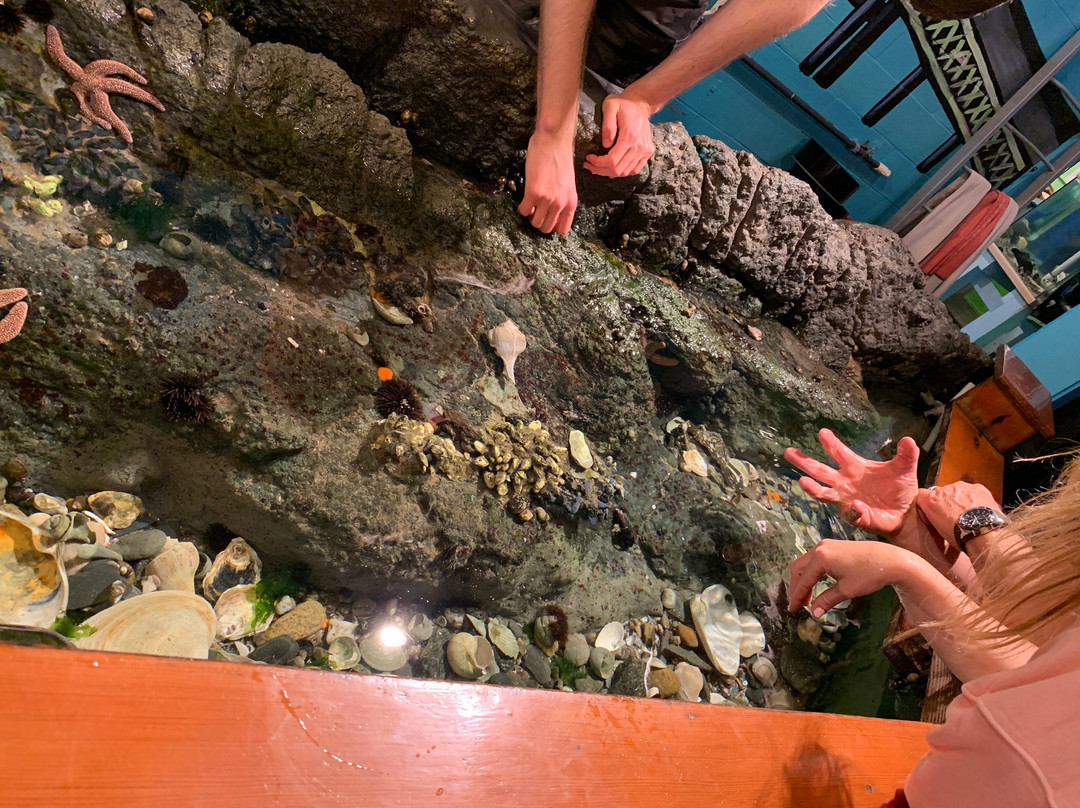 Exploration Center & Aquarium-纽波特必去景点