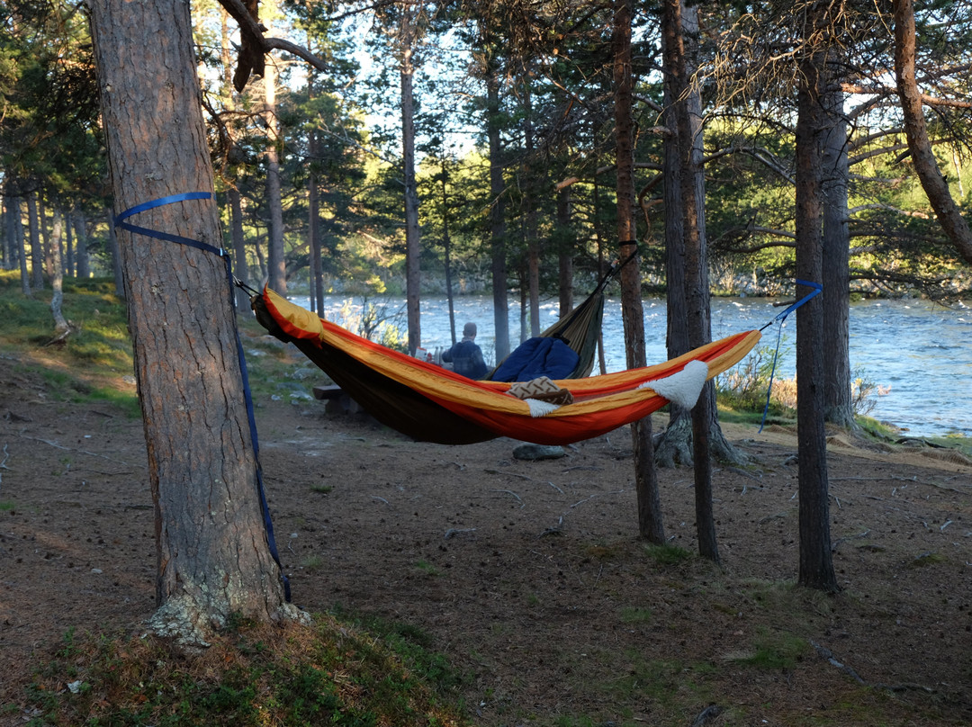 Stabbursdalen nasjonalpark-Lakselv必去景点