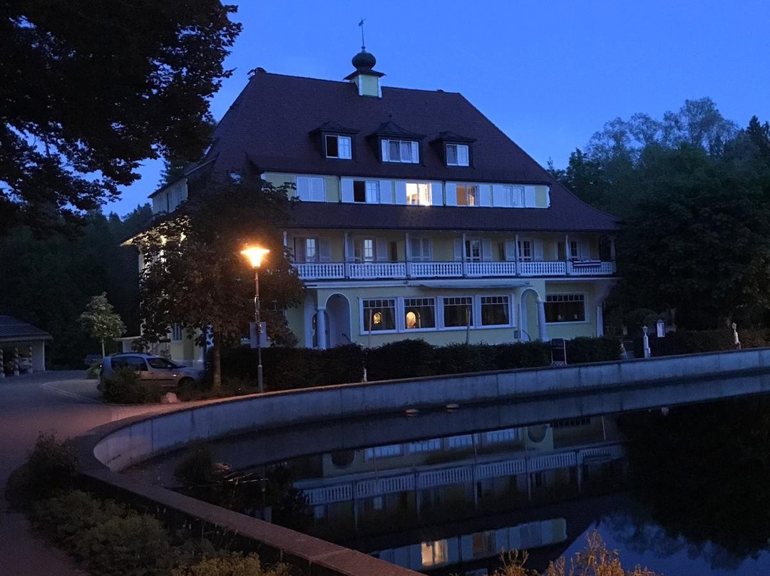 瓦尔德西酒店主图