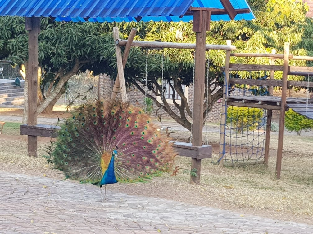 白河命运旅馆主图