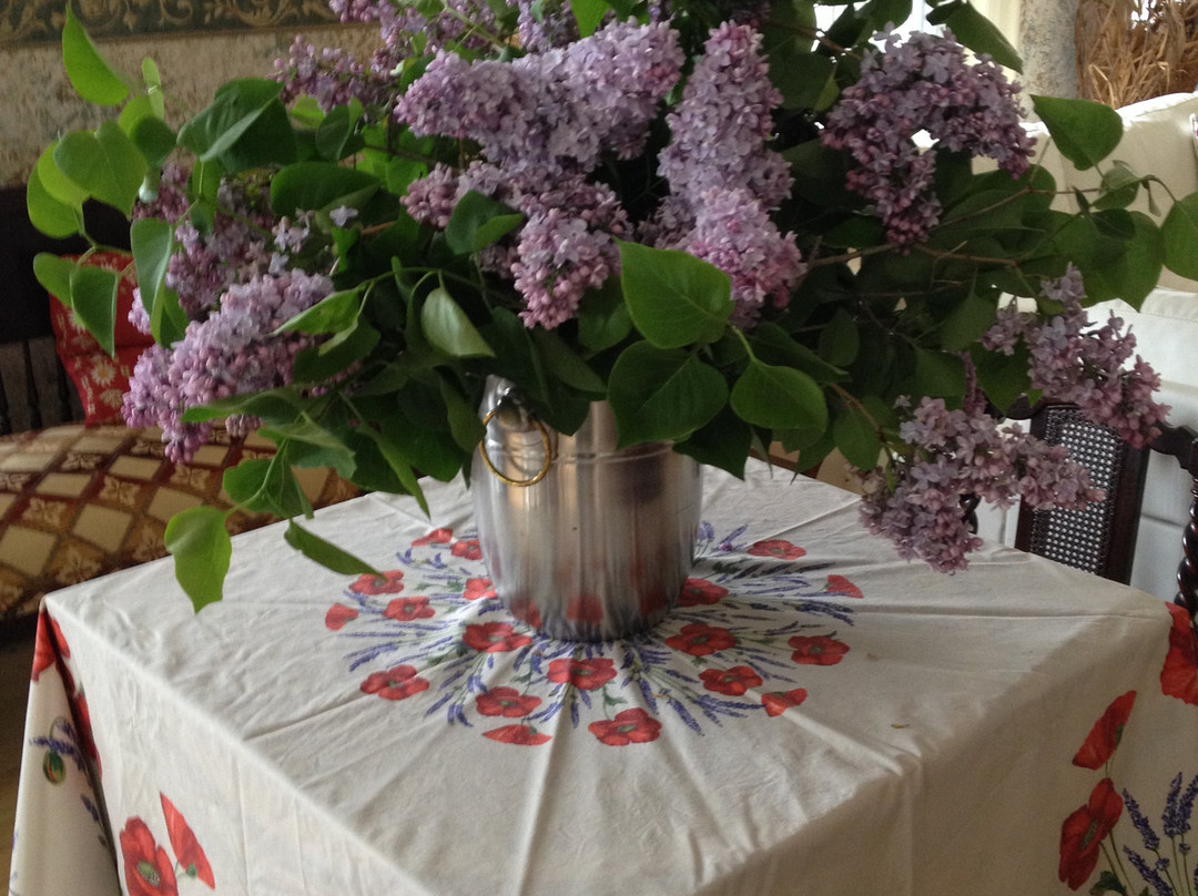 Auberge du Sault-a-la-Puce主图