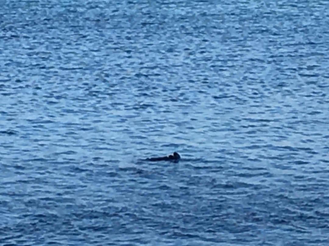 莫洛湾贸易风贝斯特韦斯特酒店主图