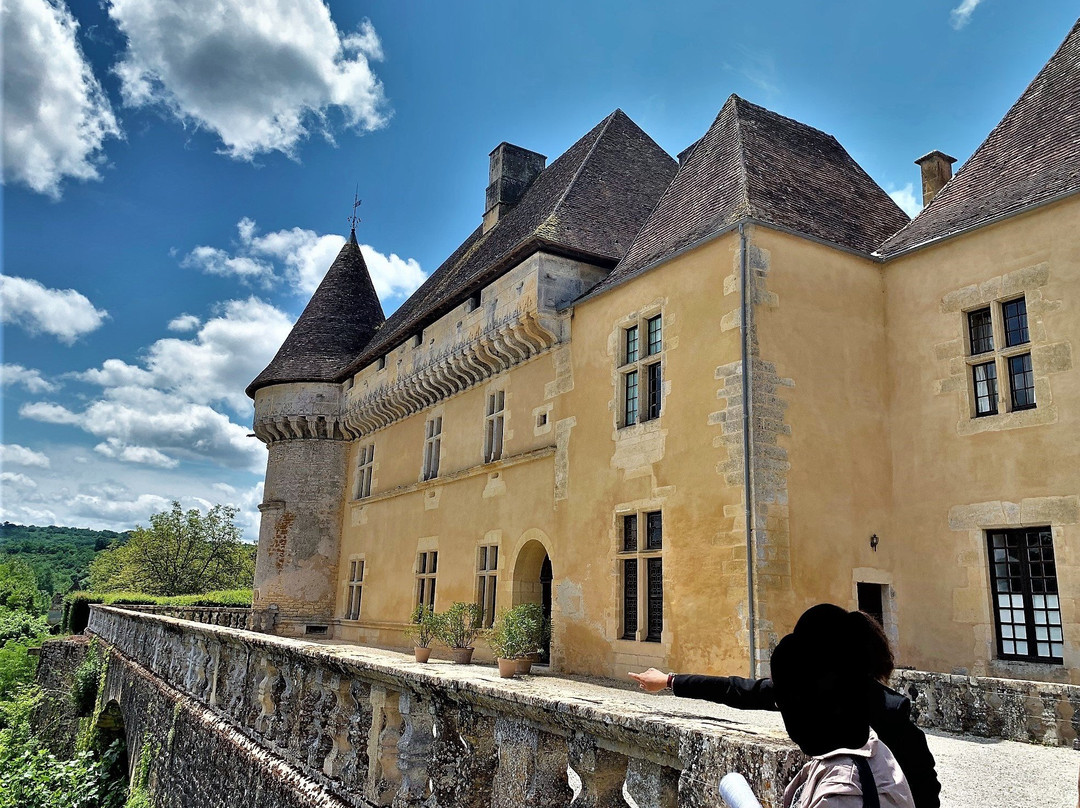 Château Et Jardins De Losse景点图片