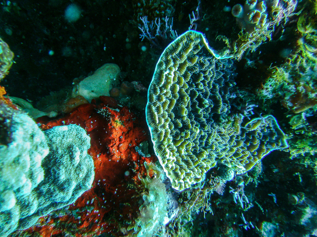 Las Galeras Divers-Las Galeras必去景点